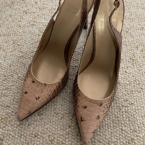 pointed stiletto